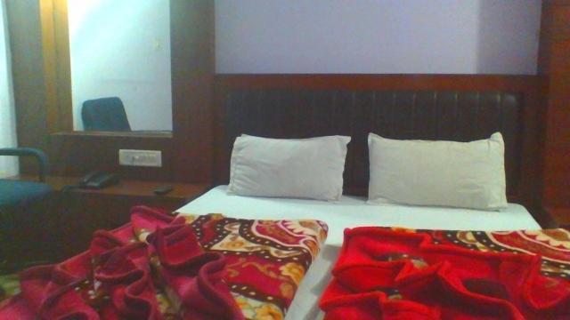 Sahara International Deluxe Hotel Új-Delhi Szoba fotó