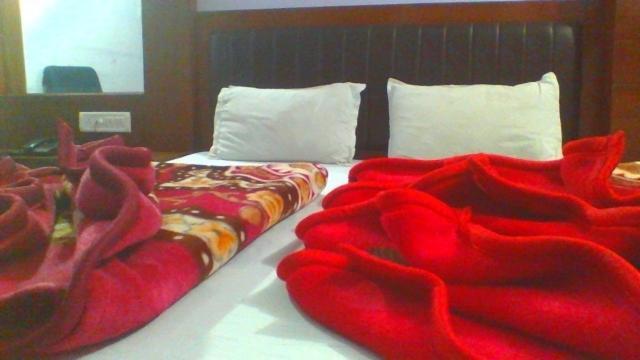 Sahara International Deluxe Hotel Új-Delhi Szoba fotó